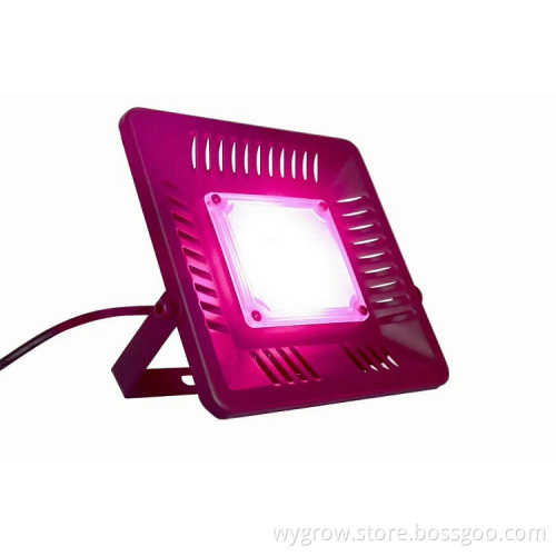 Factory direct Price 50W IP67 Cob Grow Lights